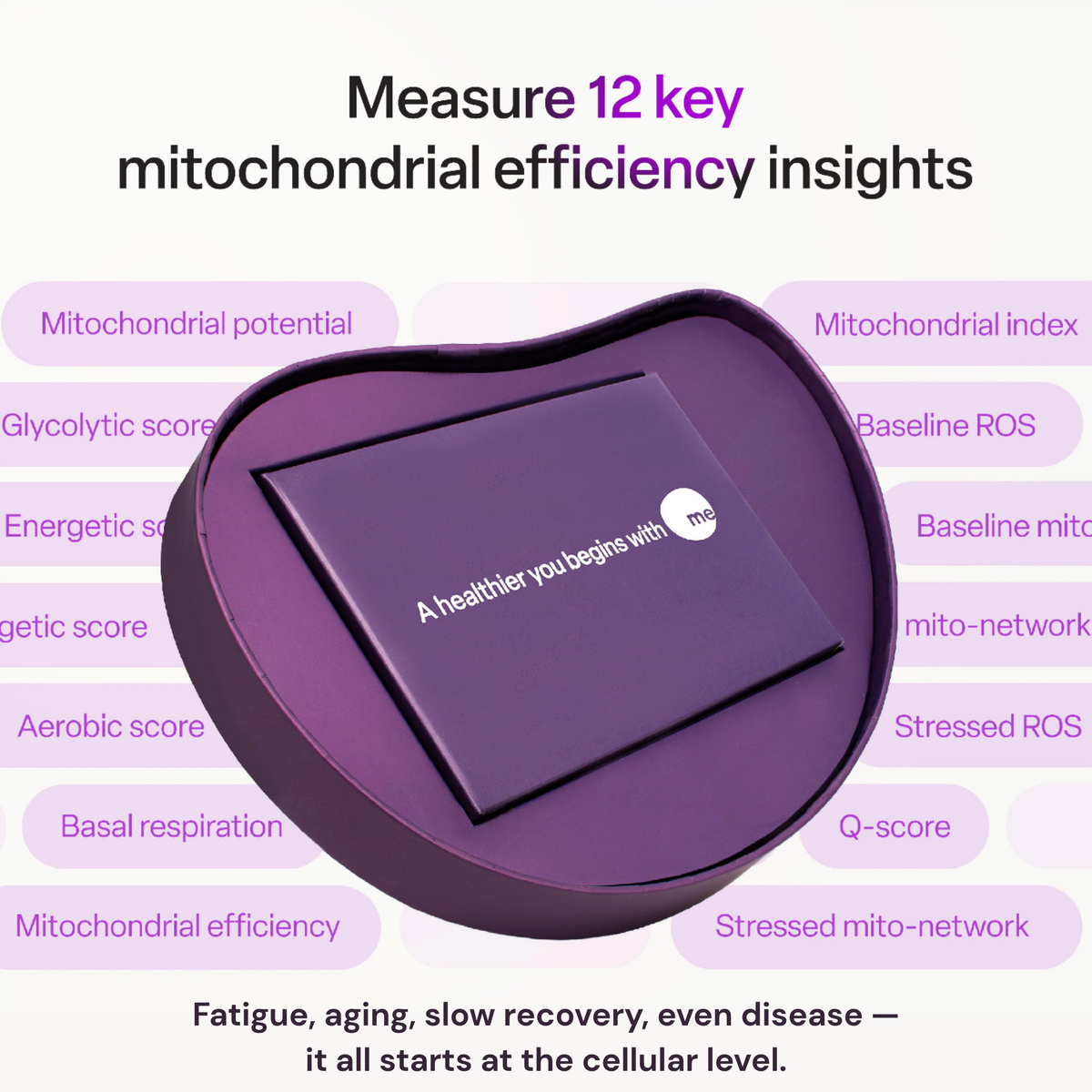 mescreen™ Mitochondrial Function Test + Expert Consult